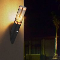 Außenwandlampe mit Bewegungsmelder Edelstahl Wandleuchte Fackel Aussen, Kupfer schwarz Schirm rauch, 1x E27, BxH 7,6x41 cm von ETC-SHOP