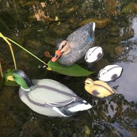 Etc-shop - Teichenten für Gartenteich Entenfamilie Schwimmente für Teich Stockente Deko schwimmende Teichdeko, mit Verbindungsöse von ETC-SHOP