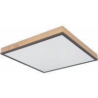 Etc-shop - led Deckenleuchte mit Fernbedienung Holzleuchte dimmbar Wohnzimmerlampe cct, Farben fixierbar Nachtlicht, Holzoptik Graphit opal, 1x led von ETC-SHOP