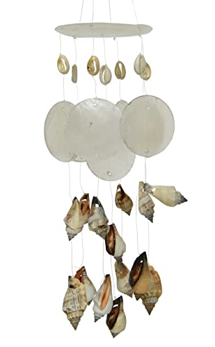 dekorativer maritimer Kleiner Dekoanhänger Windspiel Muschelmobile mit echten Muscheln dekorativer maritimer Kleiner Dekoanhänger Windspiel Muschelmobile mit echten Muscheln von ETC