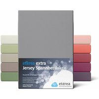 Etérea - Extra Jersey Spannbettlaken Frost Grau 180x200 - 200x220 cm - Frost Grau von ETÉREA