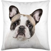 Etérea - Dekokissen Kissenhülle Hund Bulldogge Weiß 40x40 cm - Weiss von ETÉREA