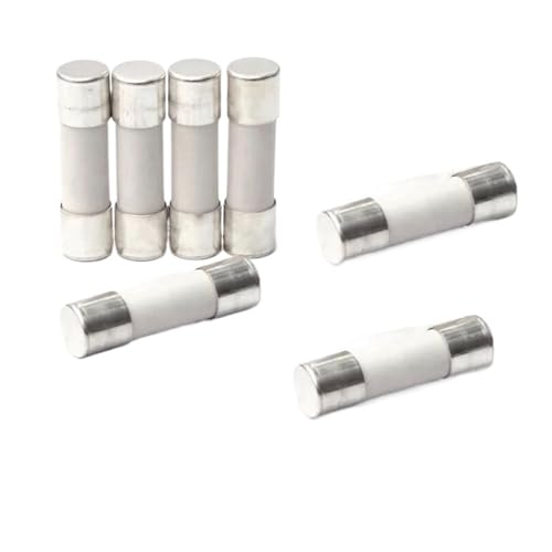 10-100Pcs Fast Blow Ceramic Fuse 5mm X 20mm 6x30 T 0.5A 1A 2A 3A 4A 5A 6A 8A 10A 15A 16A 20A 30A 250V Car Cigar Microwave Oven(1A,6x30MM) von ETFLURZPP
