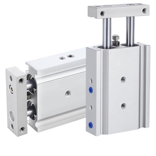 Typ CXSM Doppelstangenzylinder Pneumatischer Zylinder Doppelachsiger Doppelstangenzylinder CXSM10 CXSM15 CXSM20 CXSM25 CXSM32(Stroke 75mm) von ETFLURZPP