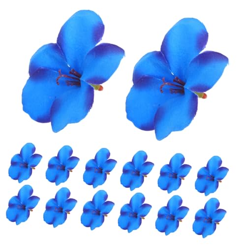 ETHZZLE 100 Stück Künstliche Orchideenblüten Blaue Fake Köpfe Robustes Material Vielseitig für Hochzeit Party DIY Dekoration Große Packung für Arrangements und Bastelprojekte ETHZZLE 100 Stück Künstliche Orchideenblüten Blaue Fake Köpfe Robustes Material Vielseitig für Hochzeit Party DIY Dekoration Große Packung für Arrangements und Bastelprojekte von ETHZZLE