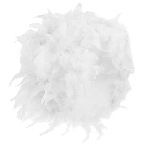 ETHZZLE Fluffiger Feder Lampenschirm Ersatz Lampenschirm für Tischlampe und Stehlampe Ästhetischer Feder für Wohnzimmer und Schlafzimmer Vielseitig Einsetzbar ETHZZLE Fluffiger Feder Lampenschirm Ersatz Lampenschirm für Tischlampe und Stehlampe Ästhetischer Feder für Wohnzimmer und Schlafzimmer Vielseitig Einsetzbar von ETHZZLE