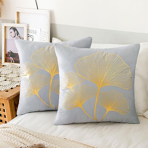 ETOLISHOP 2er Set Kissenbezug Grau 50x50 Samt Kissenbezüge Soft Cosy Dekokissen Kissen Ginkgo Biloba Blätter Kissenbezug Kissenhülle Dekokissenbezug für Schlafzimmer Wohnzimmer Bett Balkon Sofakissen von ETOLISHOP