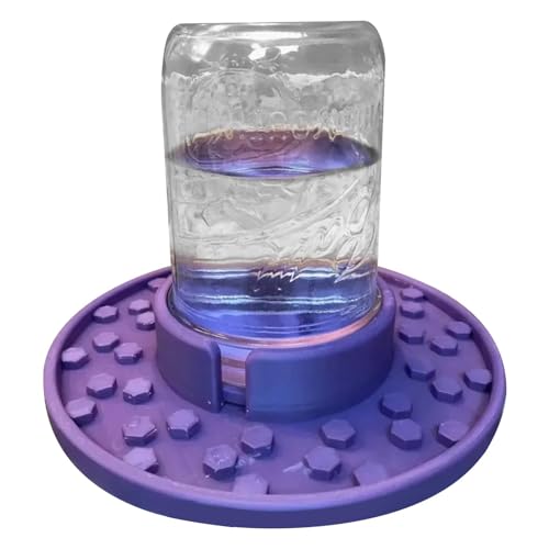 ETUCYNG Bienen-Wasser-Futterspender, Einmachglas-Zuckerwasser-Futterspender für Bienen – Bienenstock-Eingang und Futterspender, Honigbienenen-Futterspender, verwendet zum Füttern von Wasser oder ETUCYNG Bienen-Wasser-Futterspender, Einmachglas-Zuckerwasser-Futterspender für Bienen – Bienenstock-Eingang und Futterspender, Honigbienenen-Futterspender, verwendet zum Füttern von Wasser oder von ETUCYNG