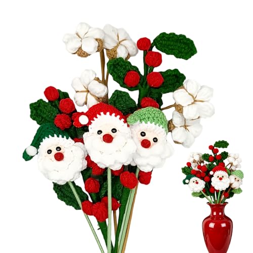 EUBEISAQI Häkelblumenstrauß, niedliche Weihnachtsmann-Baumwollpflanze, handgefertigter Strickblumenstrauß, für Lehrer, Frauen, Valentinstag, Mutter, Mädchen EUBEISAQI Häkelblumenstrauß, niedliche Weihnachtsmann-Baumwollpflanze, handgefertigter Strickblumenstrauß, für Lehrer, Frauen, Valentinstag, Mutter, Mädchen von EUBEISAQI