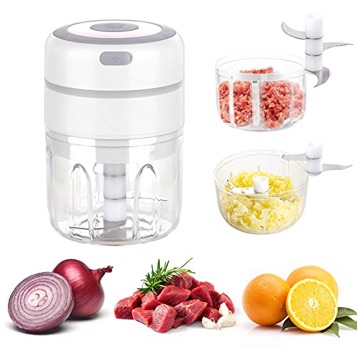 Elektrisch Knoblauchhacker Zwiebel Mini Zerkleinerer, Multizerkleinerer Chopper Knoblauchpresse 250ML & 100ML Auch für Fleisch Garlic Obst (Weiß) von EUBSWA