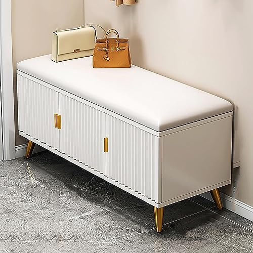 EUEIQCBZ Luxusschuh -Rack -Bank mit verstecktem Schrank für High Heels Weißgold (120 x 50 x 30 cm) von EUEIQCBZ