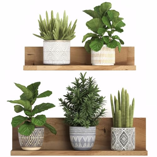 EUIOOVM 3D Grüne Pflanze Wandtattoo Topfpflanze Wandaufkleber Pflanze Blumen Wandbilder Kaktus Wandsticker PVC Wandtattoo Küche Bonsai Vase Wandaufkleber für Schlafzimmer Wohnzimmer Büro Flur Wanddeko von EUIOOVM