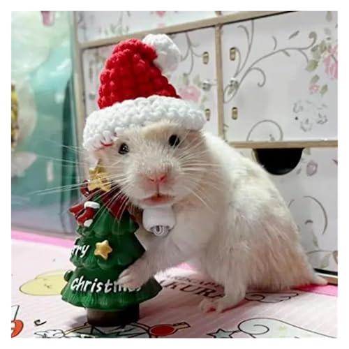 Handgewebte Haustier-Weihnachtsmütze – Mini-Weihnachtsmannmütze für Hamster, Kaninchen, Meerschweinchen und Kleintiere, Plüsch-Foto-Requisite und Dekoration für kleine Haustiere (Scharlachrot) von EUIYCBA