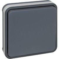 Eingebauter Pendelschalter 10A IP55 - oxxo Farbe Grau von EUR OHM
