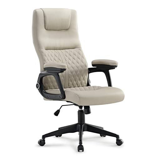 EUREKA ERGONOMIC Leder-Bürostuhl mit Lordosenstütze, PC Stuhl, ergonomischer Schreibtischstuhl, gepolsterte Armlehnen, Bürostuhl mit Kopfstütze, bequemer Computerstuhl, Grau von EUREKA ERGONOMIC