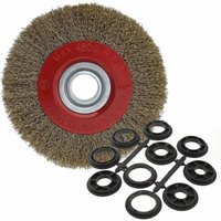 Spazzola circolare in acciaio per la pulizia di smerigliatrici da banco, diametro 125 mm/150 mm/200 mm, 200 mm von EURITECSA