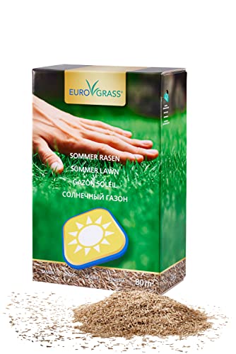 Premium Sommerrasen Rasensamen - schnellkeimende Mischung für sattgrünen, hitze- und trockentoleranter Rasen - perfekt für sonnige Standorte - winterhart, pflegeleicht - 2 kg Packung - 80qm von EURO GRASS