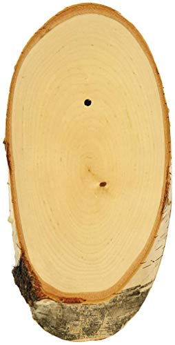 Eurohunt Trophäenschild für Rehbock Birke (20x12 cm) von EURO HUNT