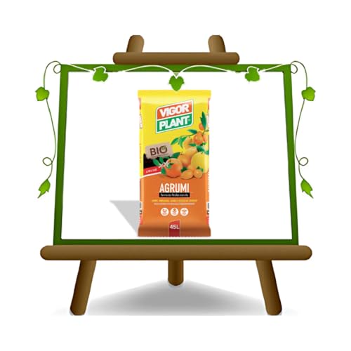 Boden für Zitrusfrüchte Erde - Vigor Plant - 45 L von EURO PLANTS VIVAI