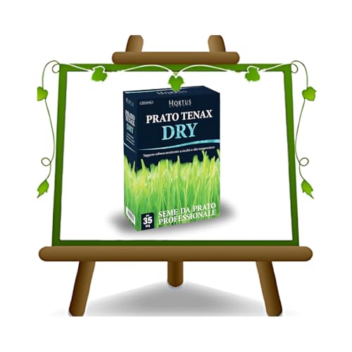 EURO PLANTS VIVAI Rasensamen Professional Hortus Rasen Tenax Dry MIX040 dicht robust dunkelgrün von EURO PLANTS VIVAI