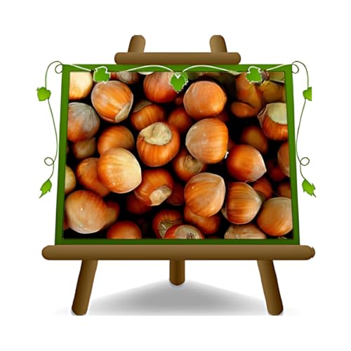 Kern Runde Giffoni - Obstpflanze alte Frucht auf Blumentopf 26 Baum max 200 cm – 4 Jahre Anbau Italien von EURO PLANTS VIVAI