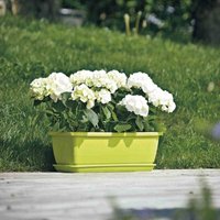 Euro3plast - Untersetzer zu inis apfel 50 Euro3plast - Untersetzer zu inis apfel 50 von EURO3PLAST