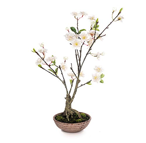 EUROCINSA 60220C01 Schrank Bonsai mit weißer Blume, Box mit 2 Stück, Kunststoff, Keramik, 33 x 60 cm von EUROCINSA