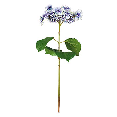 EUROCINSA Ref.14881C34 Hortensia Schmetterling, Box mit 6 Stück, Blau, 72 cm von EUROCINSA