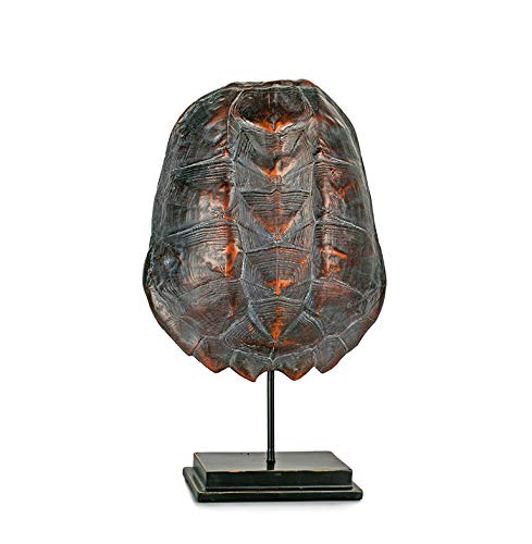 EUROCINSA Ref.17143 Schildkrötenhaube, Polyresin, braun, 27 x 11 x 45 cm von EUROCINSA