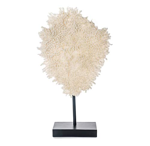 EUROCINSA Ref.18113 Ornament Coral, Polyresin, Weiß, 37 x 13 x 63 cm von EUROCINSA