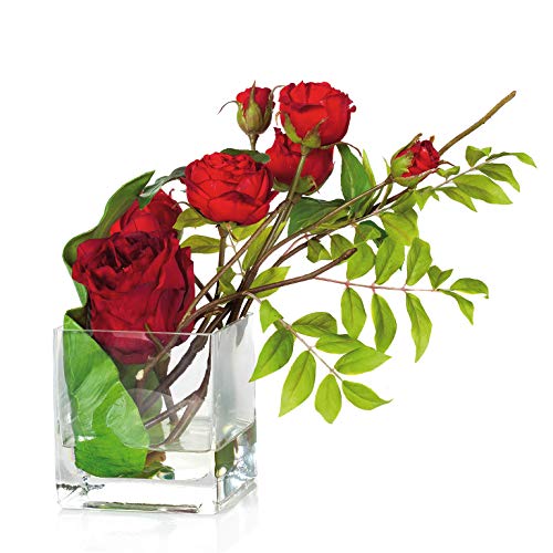 EUROCINSA Ref.20450C20 Rosen-Arrangement, Box mit 1 Stück, Kunststoff, Glas, Rot, 23 x 28 cm von EUROCINSA