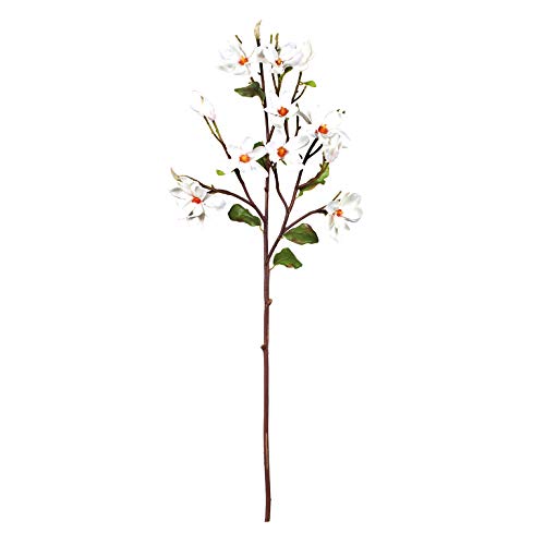 EUROCINSA Ref.23471C01 Magnolia Weiß, Box mit 6 Stück, 90 cm von EUROCINSA