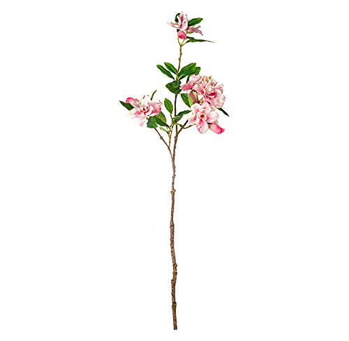 EUROCINSA Ref.41500C21 Azalea BELGA ROSA, Box mit 12 Stück, 70 cm von EUROCINSA