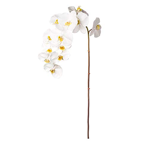 EUROCINSA Ref.43114C01 Orchidee PHALAENOPSIS, Box mit 6 Stück, Weiß, 112 cm von EUROCINSA