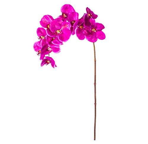 EUROCINSA Ref.43114C63 Orchidee PHALAENOPSIS, Box mit 6 Stück, Lavendel, 112 cm von EUROCINSA