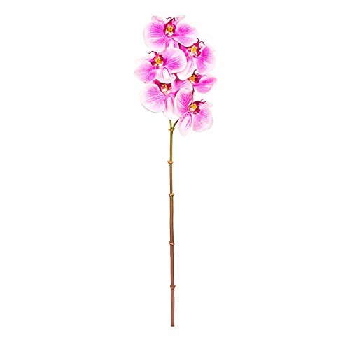 EUROCINSA Ref.43434C61 Orchidee PHALAENOPSIS, Schachtel mit 12 Stück, Lavendel, 56 cm von EUROCINSA