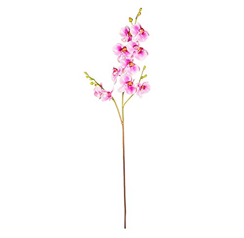 EUROCINSA Ref.43534C61 Orchidee PHALAENOPSIS, Box mit 6 Stück, Lavendel, 108 cm von EUROCINSA