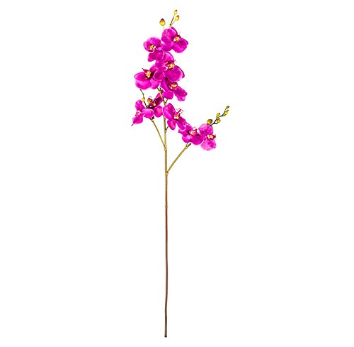 EUROCINSA Ref.43534C63 Orchidee PHALAENOPSIS, Box mit 6 Stück, Lavendel, 108 cm von EUROCINSA