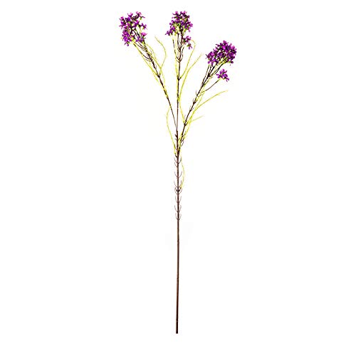 EUROCINSA Ref.44000C63 Wax Flower Lavanda, Box mit 12 Stück, 79 cm von EUROCINSA