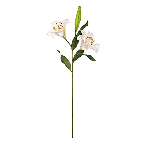 EUROCINSA Ref.56688C01 Lilium Weiß, Box mit 6 Stück, 94 cm von EUROCINSA