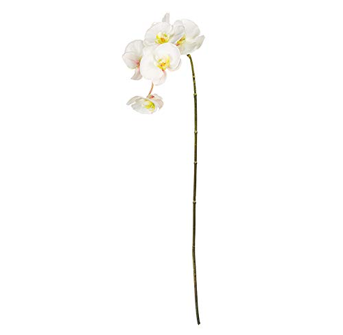 EUROCINSA Ref.57823C01 Orchidee PHALAENOPSIS weiß Schachtel mit 12 Stück, 86 cm von EUROCINSA