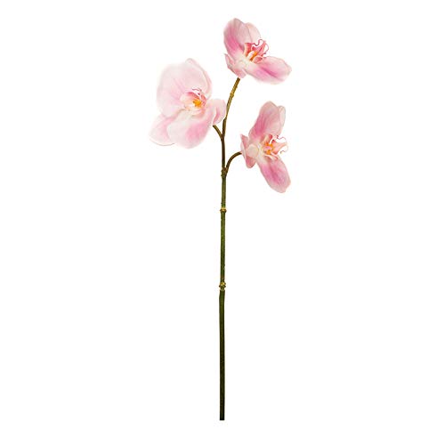 EUROCINSA Ref.57824C21 Orchidee PHALAENOPSIS Rosa, Schachtel mit 12 Stück, 57 cm von EUROCINSA