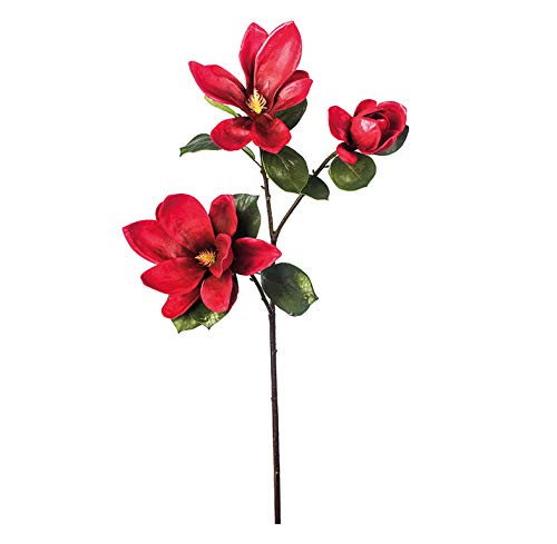 EUROCINSA Ref.67018C20 Magnolia rot, Box mit 6 Stück, rot, 78 cm von EUROCINSA