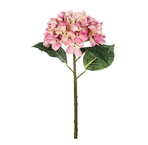 EUROCINSA Ref.71802C21 Hortensia TACTO Natural ROSA, Box mit 12 Stück, 50 cm von EUROCINSA