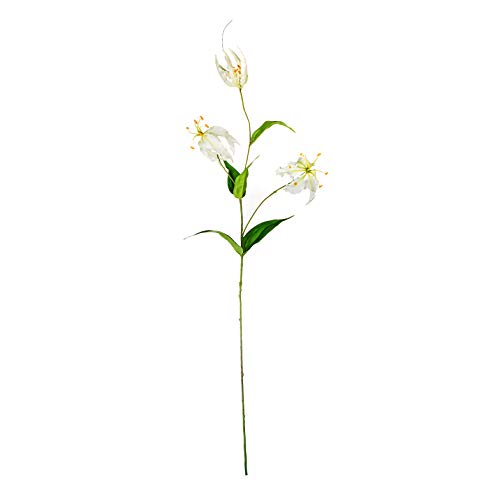 EUROCINSA Ref.82100C01 Lily Gloriosa weiß/grün, Box mit 6 Stück, 105 cm von EUROCINSA