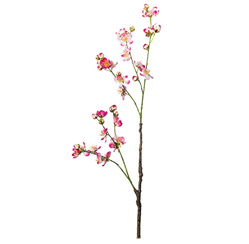 EUROCINSA Ref.89045C25 Apfel in Blume Rosa Fuchsia, Schachtel mit 12 Stück, 83 cm von EUROCINSA