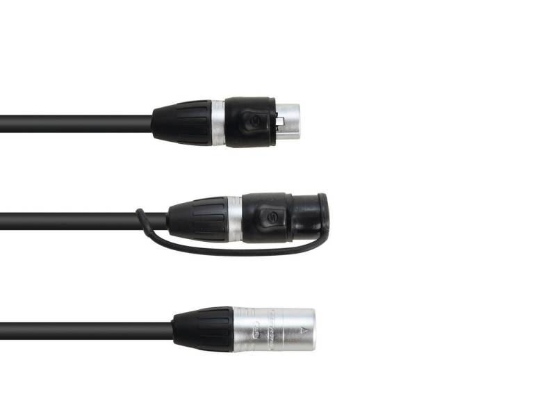 EUROLITE EUROLITE Adapterkabel DMX IP XLR 3pol(M)/2xIP XLR 3pol(F) Lampen-Verbindungskabel von EUROLITE