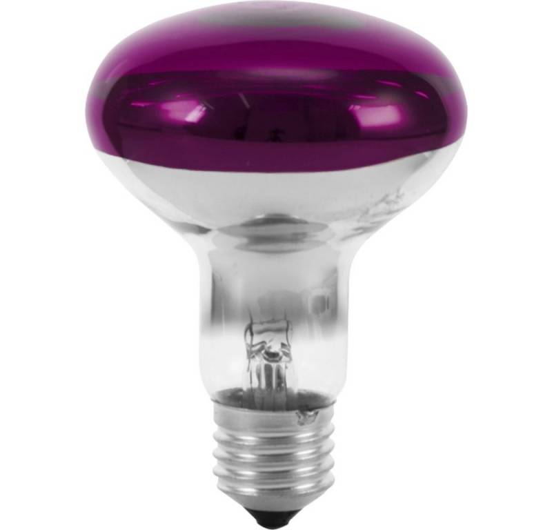 EUROLITE LED-Leuchtmittel Eurolite 9210440U Halogen E27 Reflektor 60 W Violett (x L) 80 mm x von EUROLITE