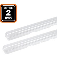 2er- wasserdichte LED-Einbaugehäuse 36W Kaltweiß 6000K 120CM von EUROPALAMP