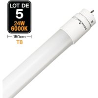 Europalamp - 5 Tubes Neon led 25W 150cm T8 Blanc Froid 6000k Gamme Pro Europalamp - 5 Tubes Neon led 25W 150cm T8 Blanc Froid 6000k Gamme Pro von EUROPALAMP